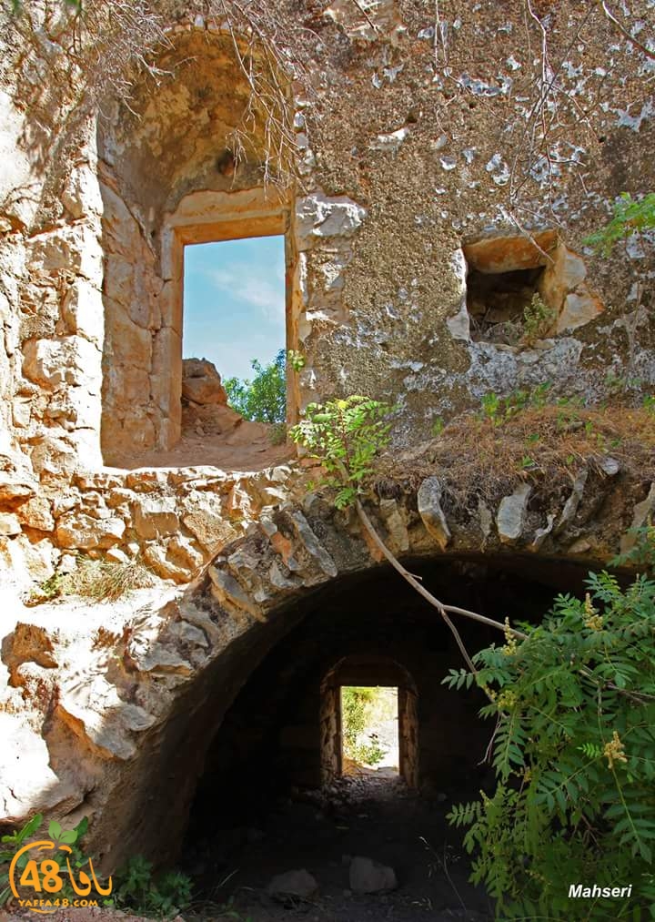 ma3red sowar (4).jpg